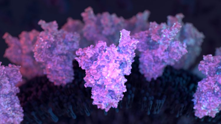 COVID-19 spike protein