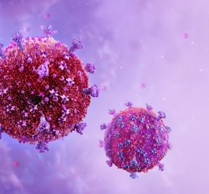 HIV cells