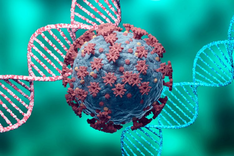 SARS-CoV-2 cell between dna helix