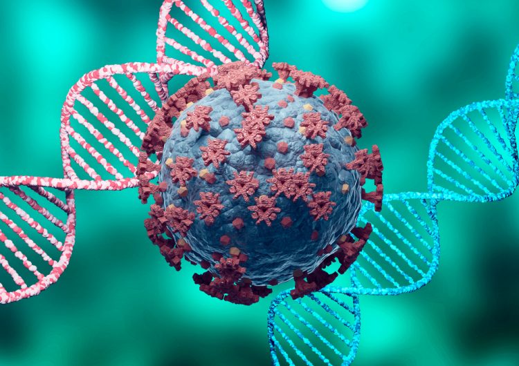 SARS-CoV-2 cell between dna helix