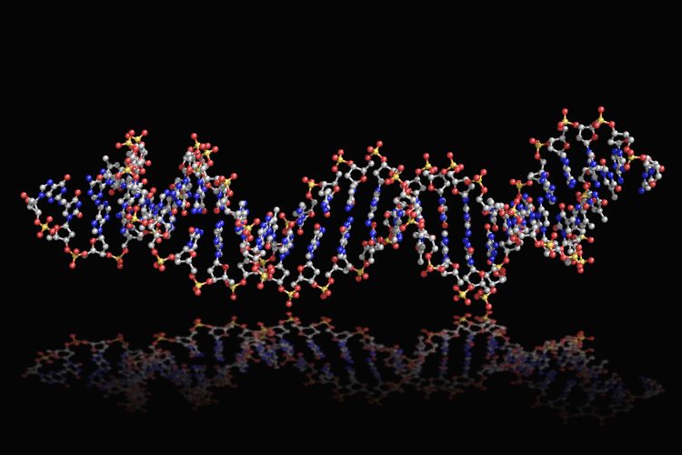 Brin d'ADN ou aptamère assis sur une surface réfléchissante sur fond noir; aptamère d'ADN double brin dans le rendu 3D de la balle et du bâton