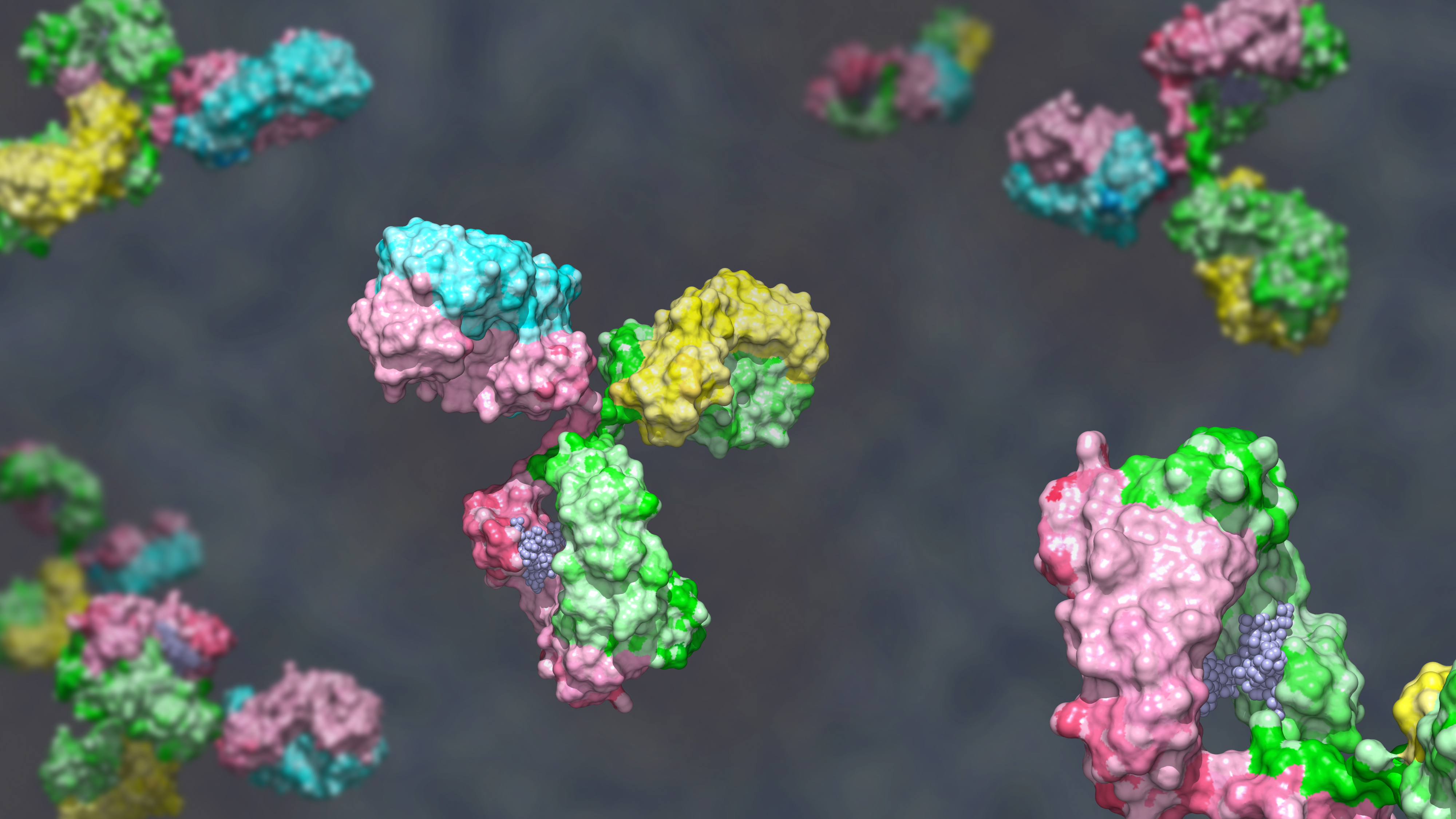 3D molecular rendering of bispecific antibodies, showing surface structure in multiple colours to highlight distinct binding domains, representing targeted therapeutic antibody design against disease antigens.