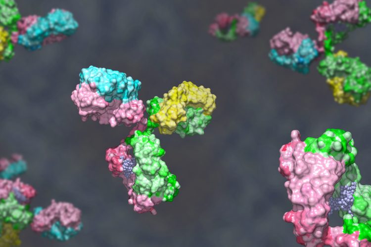 antibody discovery graphic
