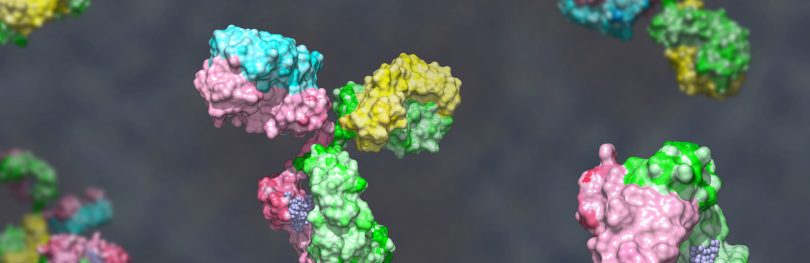 antibody discovery graphic