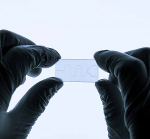 Organ-on-a-chip technology