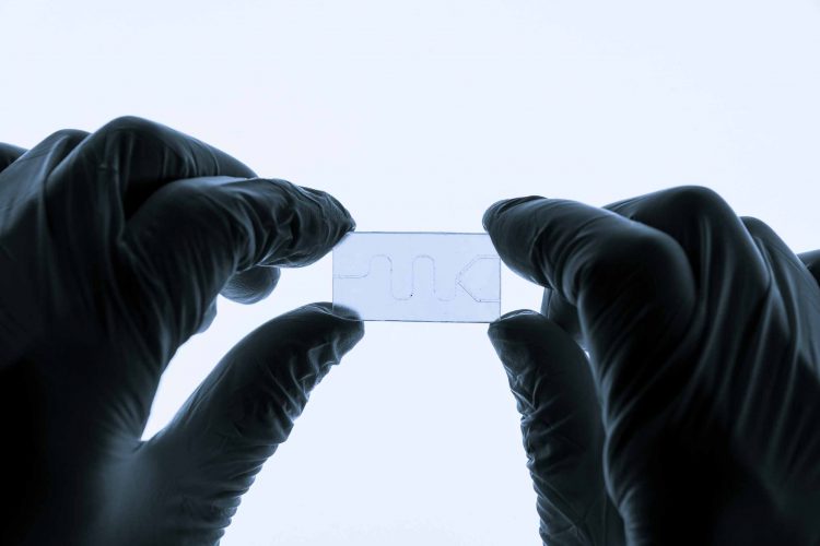 Organ-on-a-chip technology