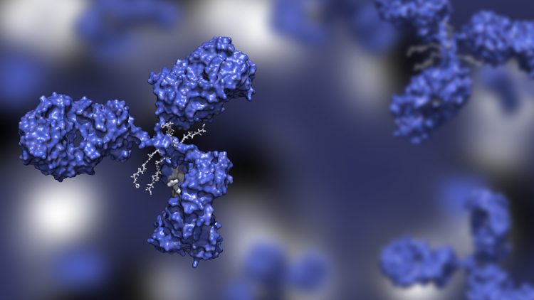 antibody drug conjugate graphic