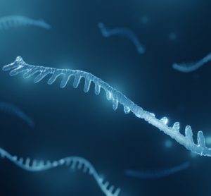 MicroRNA