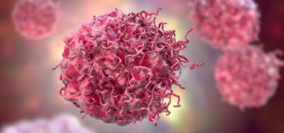 Cancer cells