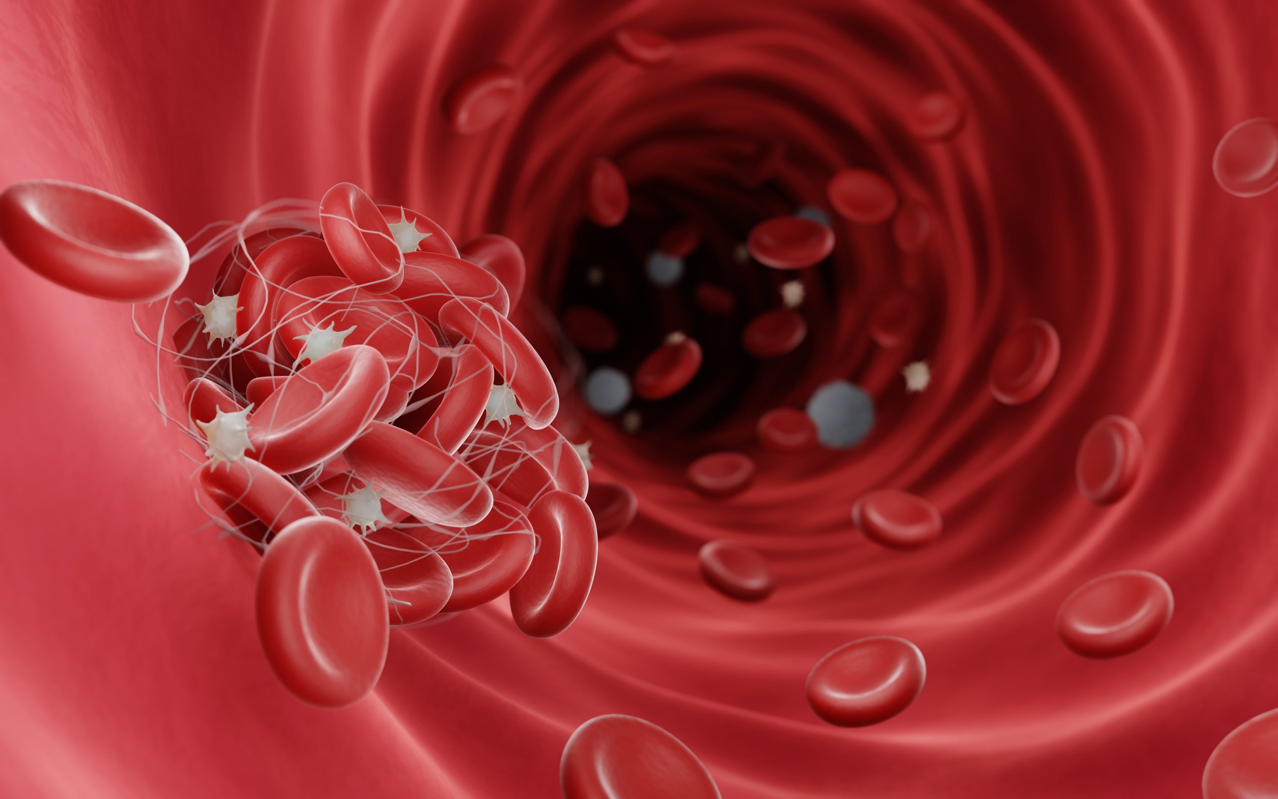 Blood clots (fibrin clots) are usually formed to stop the bleeding during injury, Blood clots can be dangerouse when they obstruct blood flow and cause thrombosis, 3d illustration
