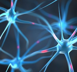 Neurons in brain with Parkinson's