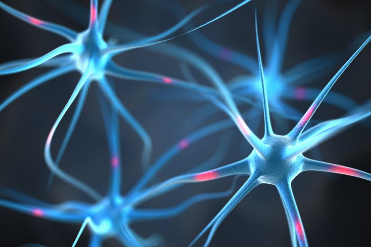 Neurons in brain with Parkinson's
