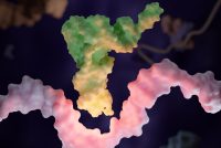tRNA