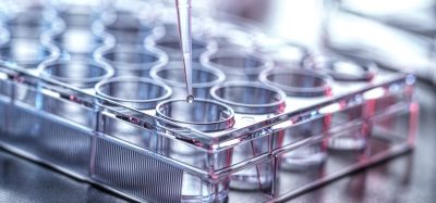 Close-up of a pipette dispensing liquid into a multiwell plate, illustrating high-throughput screening and laboratory automation