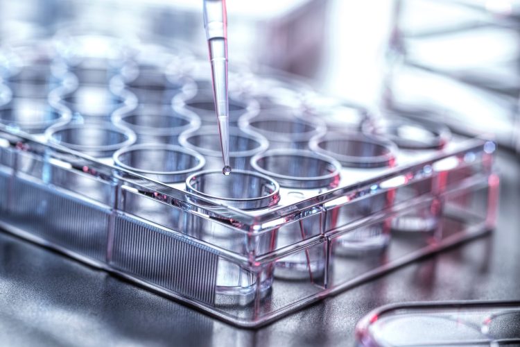 Close-up of a pipette dispensing liquid into a multiwell plate, illustrating high-throughput screening and laboratory automation