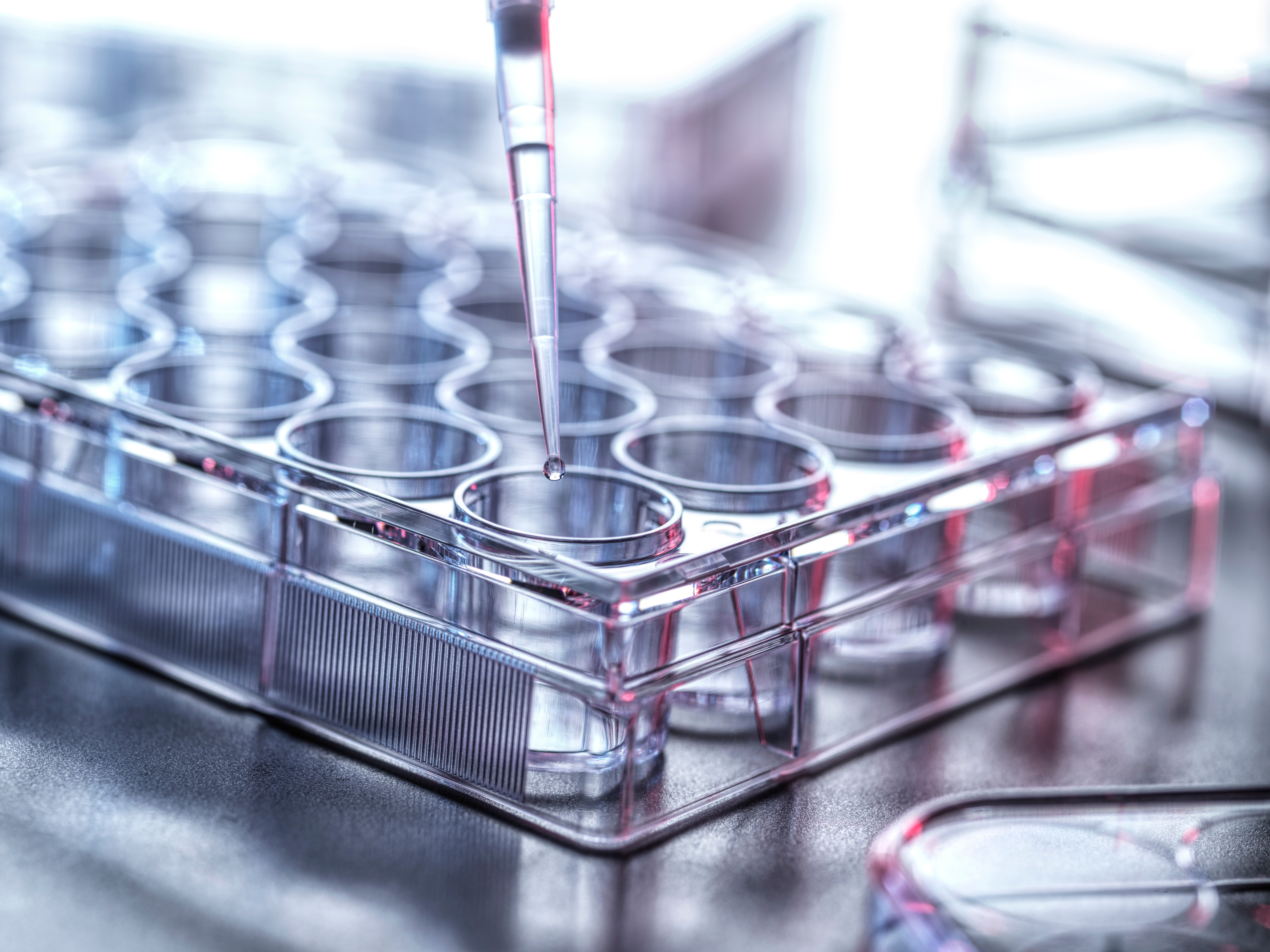 Close-up of a pipette dispensing liquid into a multiwell plate, illustrating high-throughput screening and laboratory automation