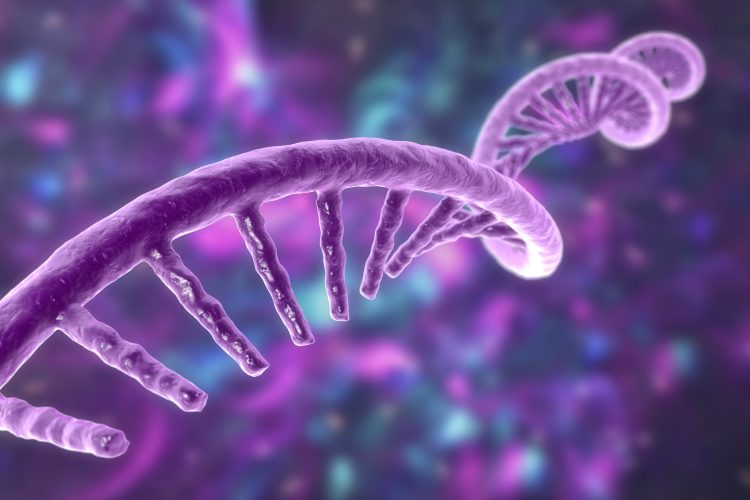 3D illustration of an RNA strand on a purple and blue abstract background.