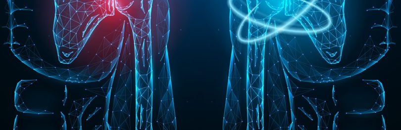 Digital illustration of human shoulder and elbow joints showing inflammation in red on the left side and healthy joints in blue on the right side, symbolizing immune-mediated inflammatory disease and treatment response
