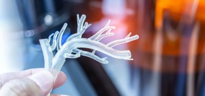 Researcher holding a 3D-printed vascular model, representing bioengineered blood vessels for tissue engineering and regenerative medicine