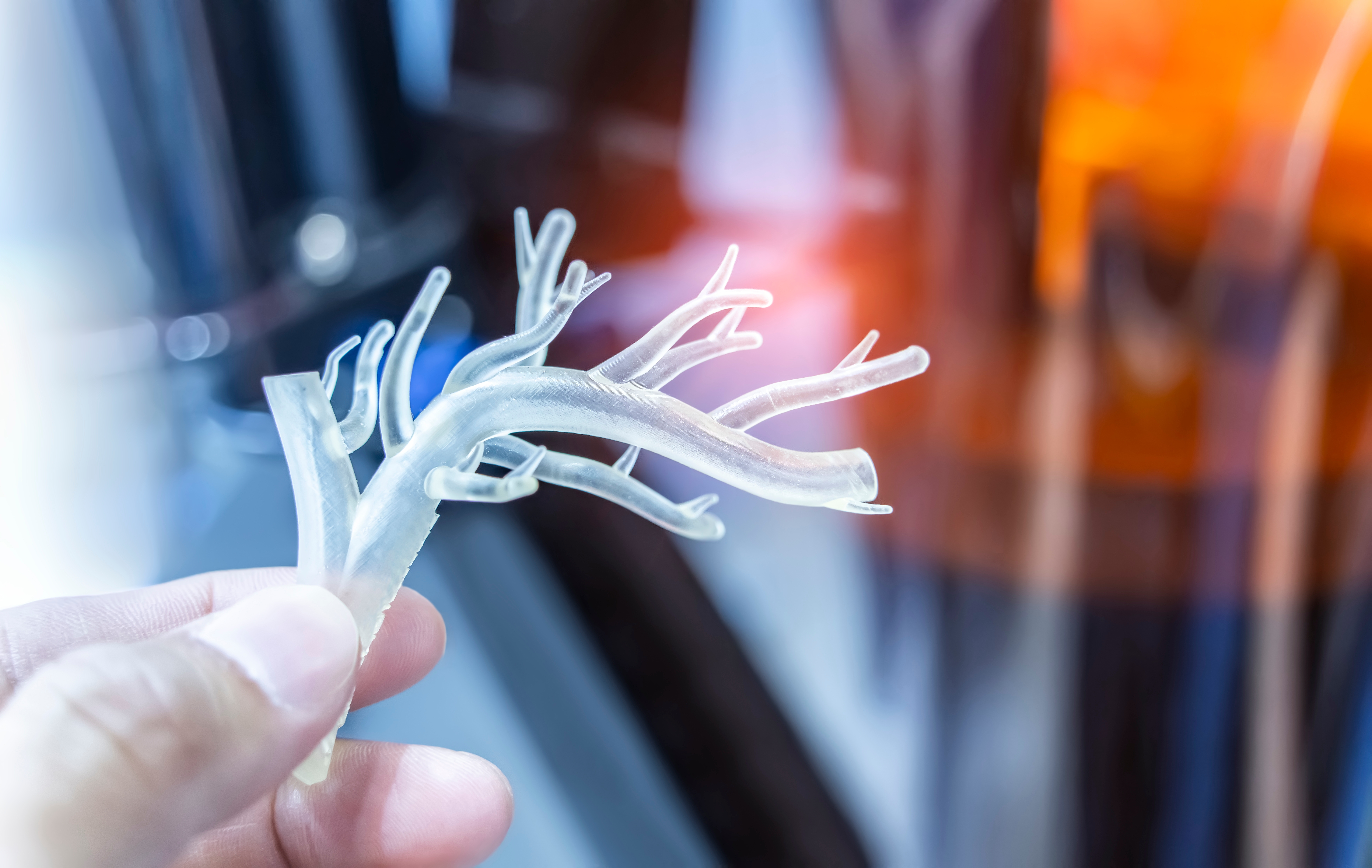 Researcher holding a 3D-printed vascular model, representing bioengineered blood vessels for tissue engineering and regenerative medicine
