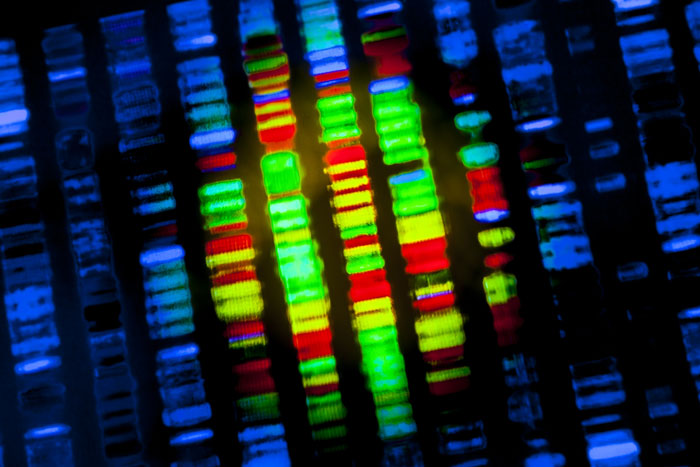 New machine learning algorithm uncovers time-delayed interactions in cells