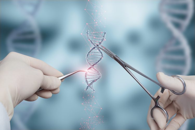 The concept of dna the study of molecules and the conduct of tests.