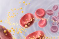 Symbolizes lipid transport and circulation