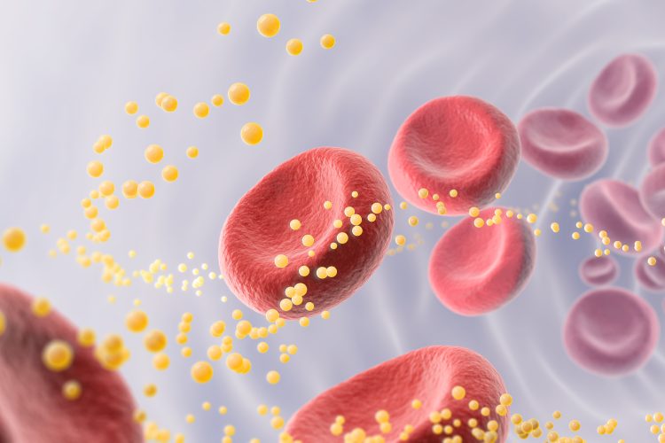 Symbolizes lipid transport and circulation