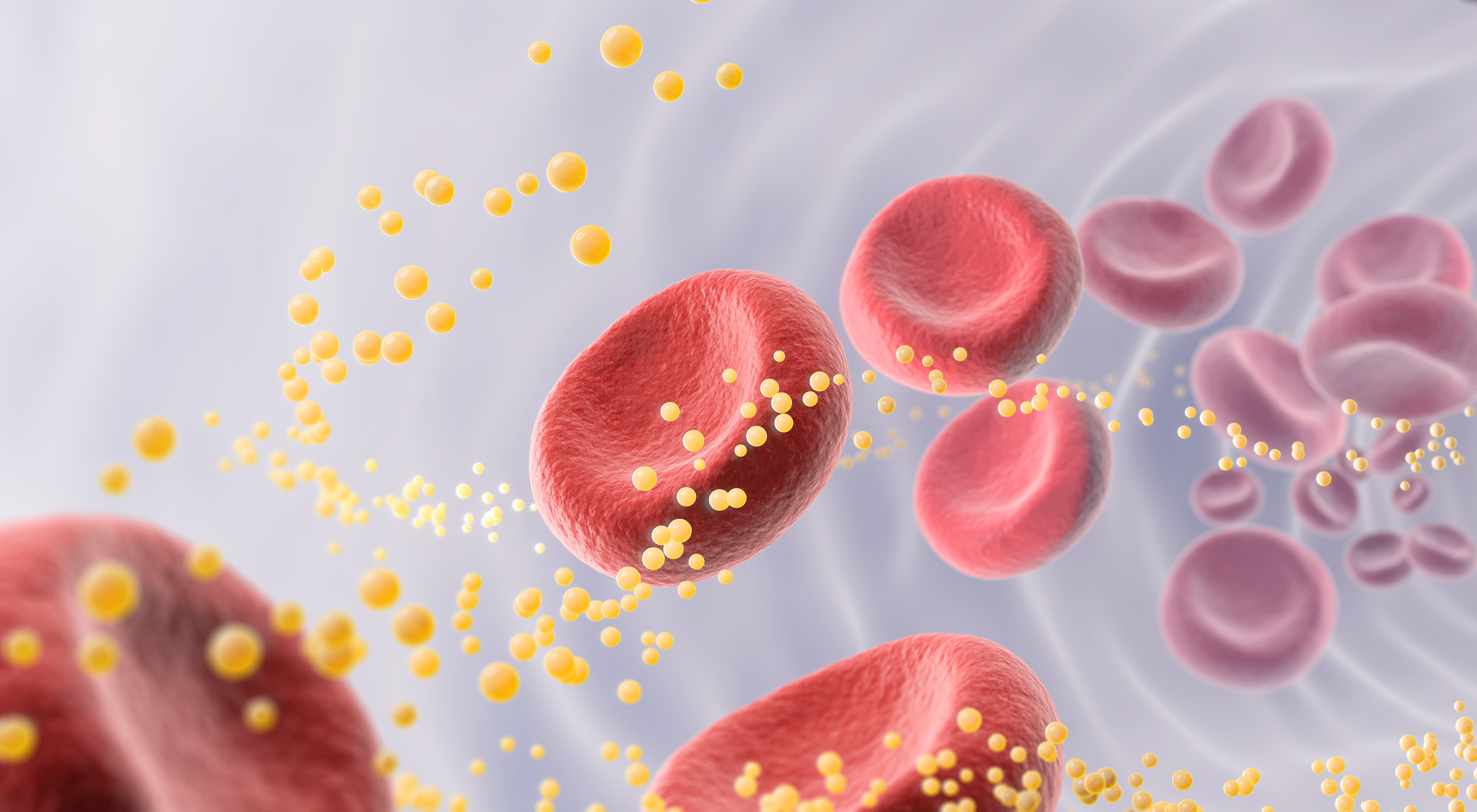 Symbolizes lipid transport and circulation