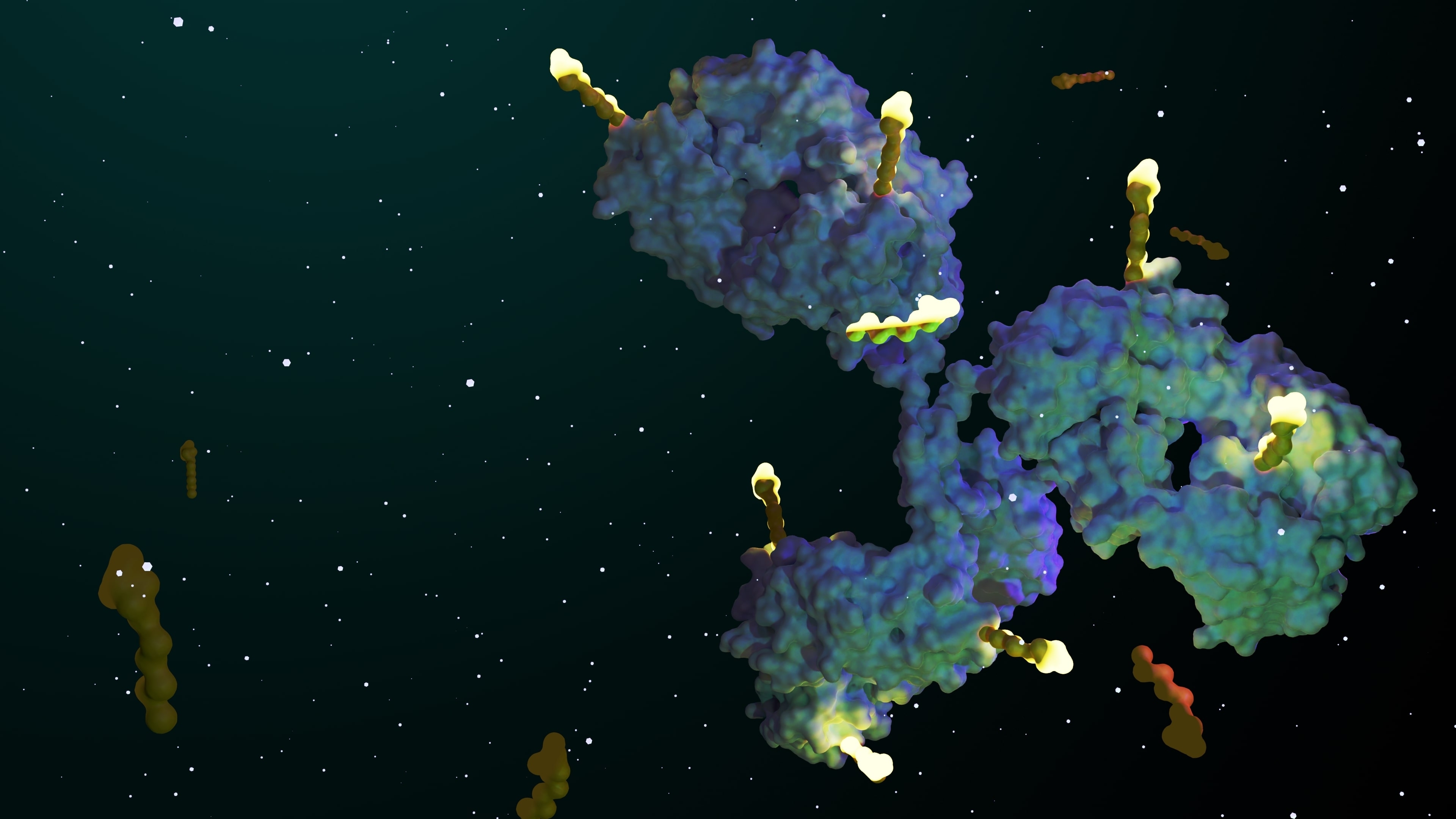 Antibody–Drug Conjugate (ADC) graphic