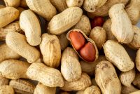 A photograph showing a collection of peanuts.