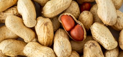 A photograph showing a collection of peanuts.