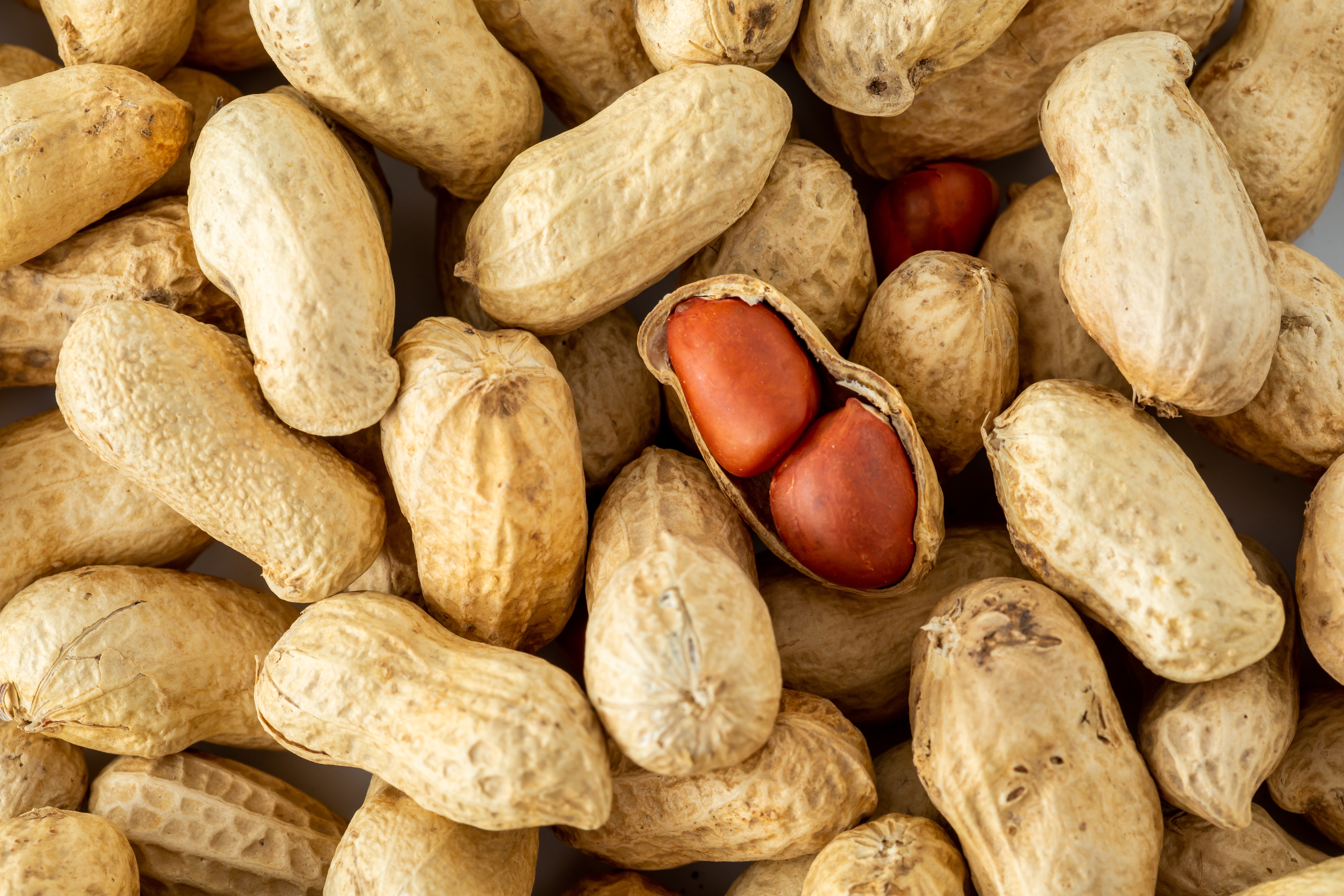 A photograph showing a collection of peanuts.