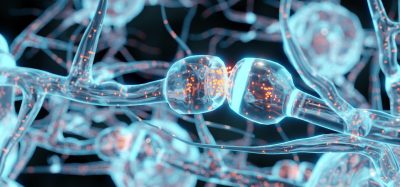 3D illustration of a synapse between two neurons, showing neural signal transmission with glowing particles, representing brain cell communication and neurological activity.