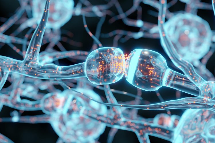 3D illustration of a synapse between two neurons, showing neural signal transmission with glowing particles, representing brain cell communication and neurological activity.