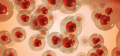Melanoma cancer cells medical animation 3D Illustration