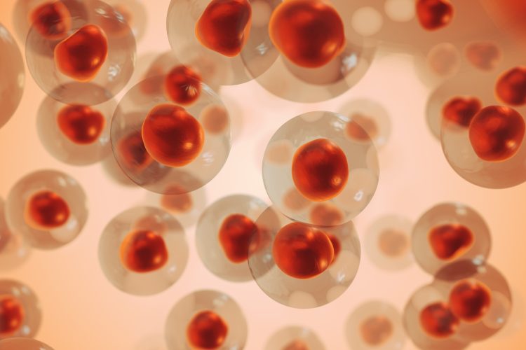 Melanoma cancer cells medical animation 3D Illustration