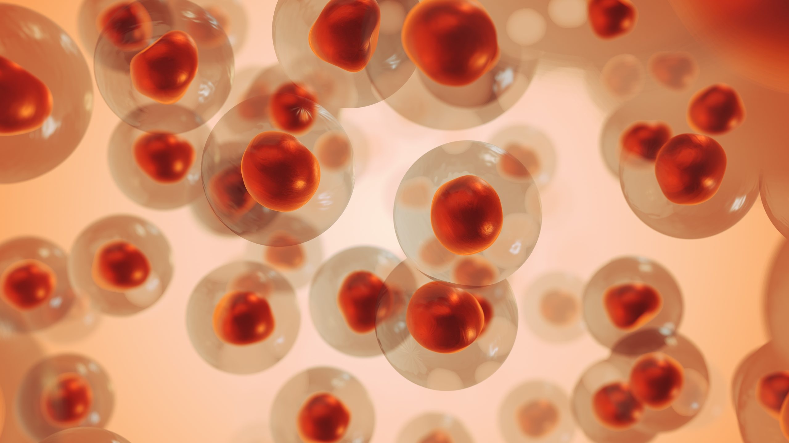 Melanoma cancer cells medical animation 3D Illustration