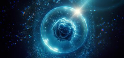 cancer cell