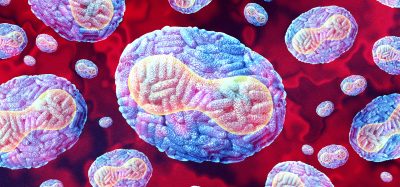 3D illustration of monkeypox virus particles under a microscope, showing oval-shaped virions with complex surface structure in a red background