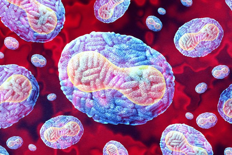 3D illustration of monkeypox virus particles under a microscope, showing oval-shaped virions with complex surface structure in a red background