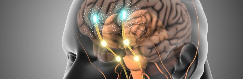3D illustration of the human brain showing neural signalling pathways, representing central nervous system activity and mechanisms involved in depression therapies targeting NMDA receptors.