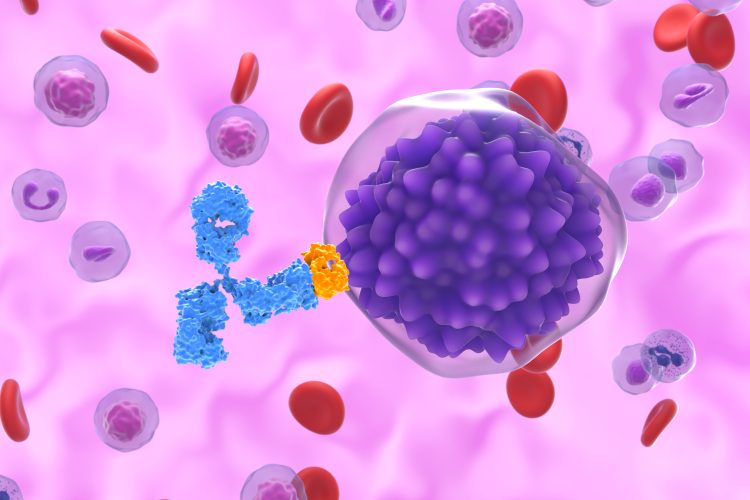 Illustration of an antibody binding to an immune cell in the bloodstream, representing targeted cancer immunotherapy.