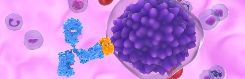 Illustration of an antibody binding to an immune cell in the bloodstream, representing targeted cancer immunotherapy.