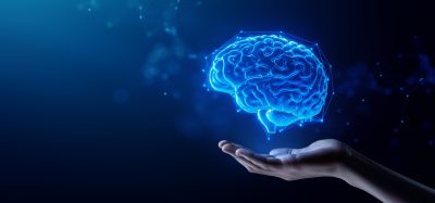 organ 3d brain digital twins ai