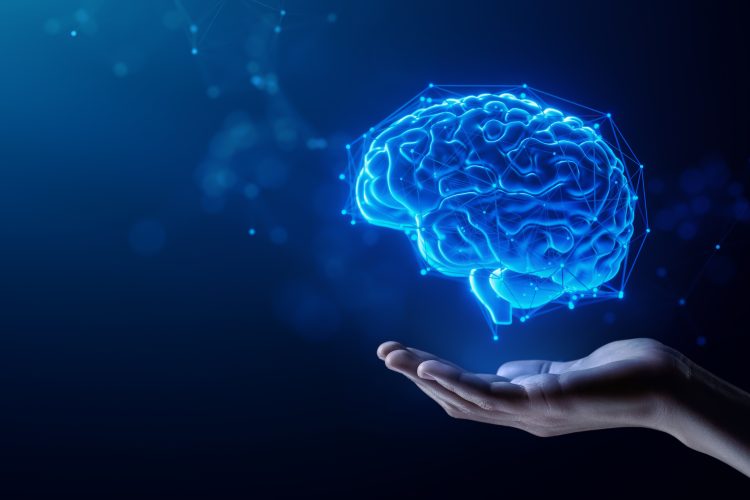 organ 3d brain digital twins ai