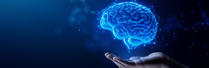 organ 3d brain digital twins ai