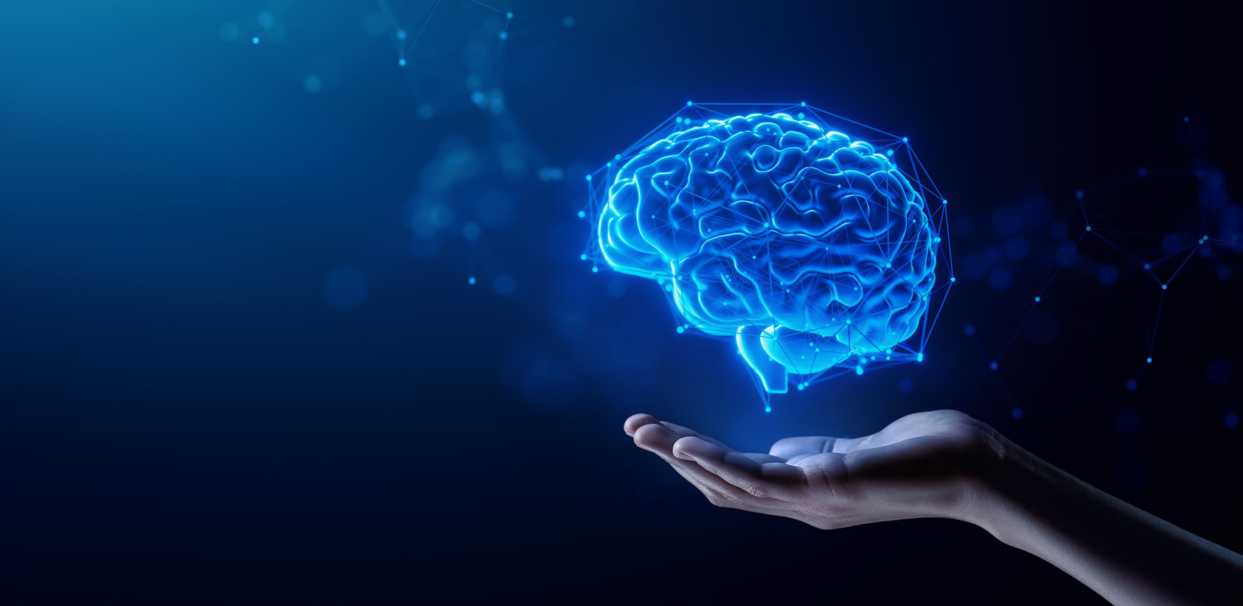 organ 3d brain digital twins ai