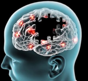 Scientists uncover the structure of tau filaments from Alzheimer's disease