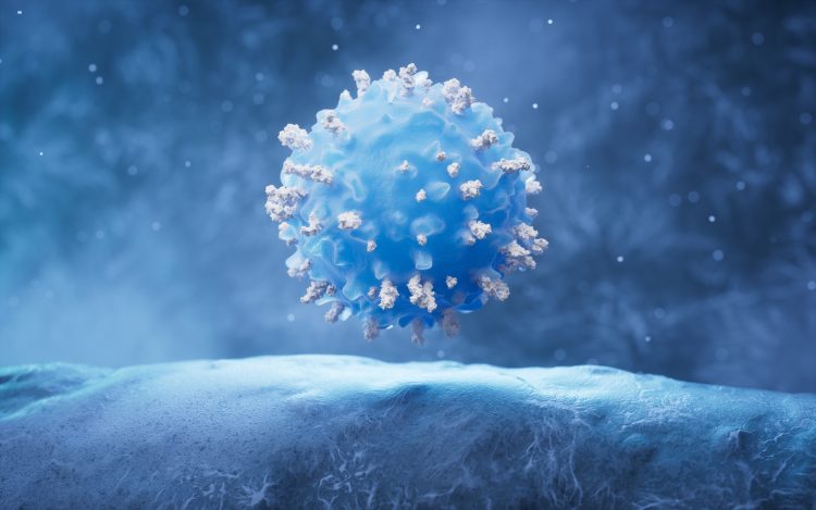 A T-cell engager is a bispecific antibody that binds both a tumour antigen and the CD3 receptor on T-cells, directing the immune cells to recognise and destroy cancer cells.








